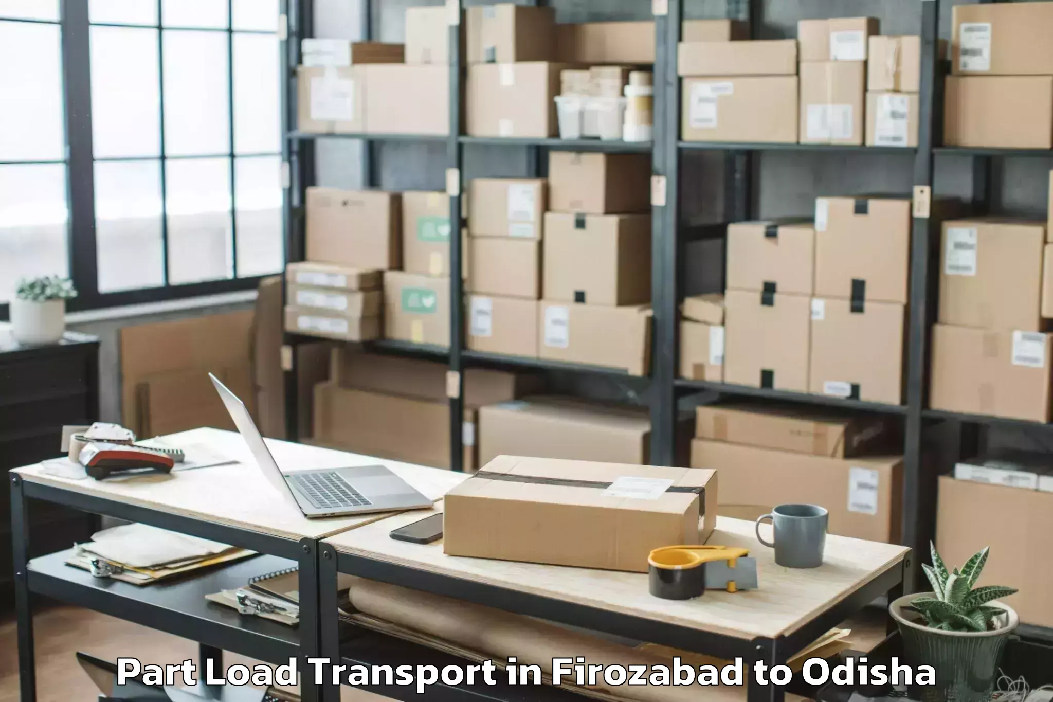 Professional Firozabad to Bhadrakh Part Load Transport